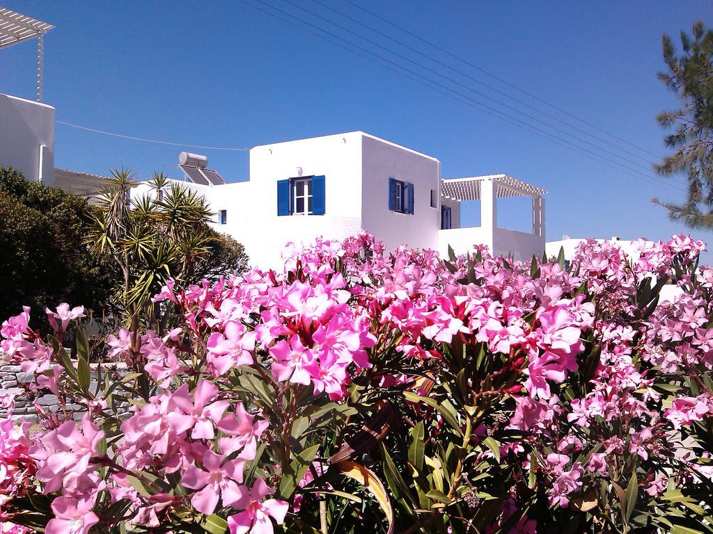 Nicos Studios & Apartments Logarász Kültér fotó